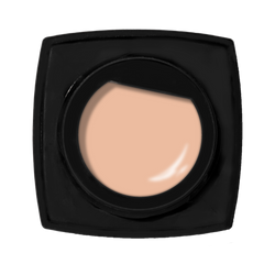 Kokoist Excel Colour Gel - 252 Warm Concealer